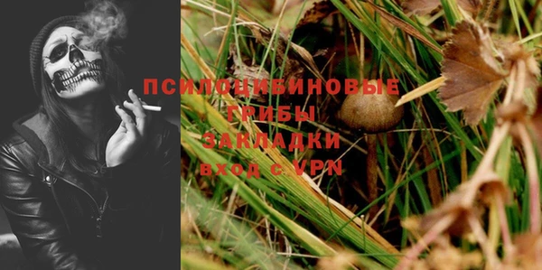 стафф Белокуриха