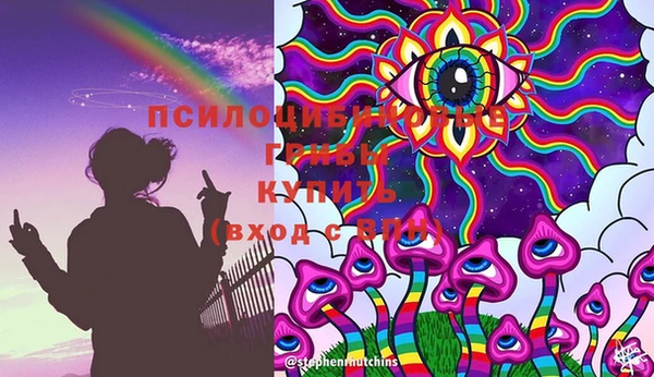 стафф Белокуриха