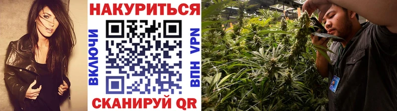 хочу наркоту  Магас  Канабис марихуана 